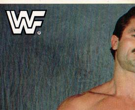 1990 Merlin WWF Superstars Stickers #23 Ravishing Rick Rude Puzzle Front