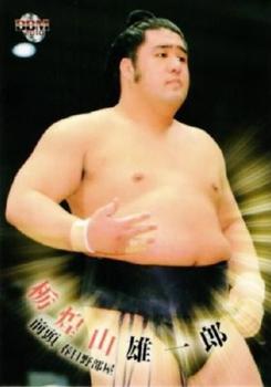 2010 BBM Sumo #16 Tochiozan Yuichiro Front