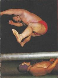 1976 Yamakatsu All Japan Pro Wrestling #10 Thunder Sugiyama Front