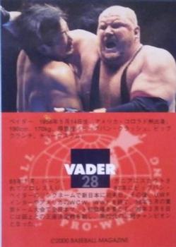 2000 BBM Limited All Japan Pro Wrestling #28 Big Van Vader Back