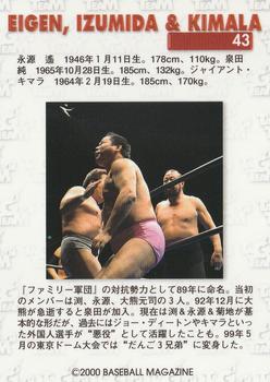 2000 BBM Limited All Japan Pro Wrestling #43 Haruka Eigen / Junji Izumida / Kimala Back