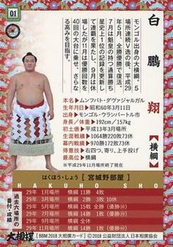 2018 BBM Sumo #1 Hakuho Sho Back
