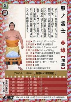 2018 BBM Sumo #8 Terunofuji Haruo Back