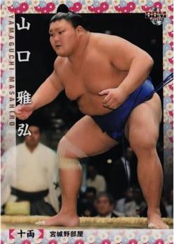 2018 BBM Sumo #61 Yamaguchi Masahiro Front