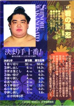 2000 BBM Sumo Kesho Mawashi #40 Wakanosato Shinobu Back