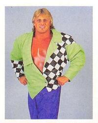 1992 Merlin WWF Stickers (England) #262 Owen Hart Front