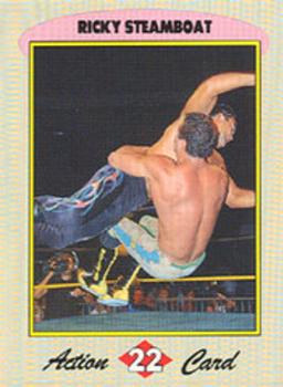 1993 WCW Magazine Collector's Special #22 Ricky Steamboat Front