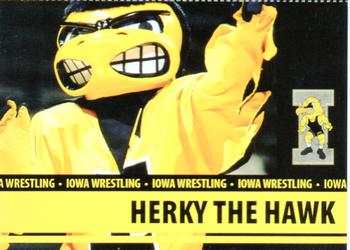 2007-08 Iowa Hawkeyes #NNO Herky The Hawk Front