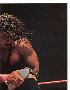 1997 Panini WWF Superstars Stickers #69 Bret Hart / Owen Hart Front