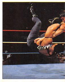 1997 Panini WWF Superstars Stickers #132 Bart Gunn / Faarooq Front