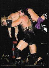 1999 Panini WCW/NWO Stickers #64 Wrath Front