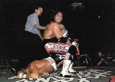 1999 Panini WCW/NWO Stickers #82 Bret Hart Front