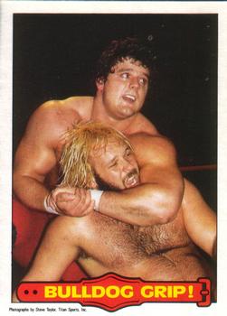 1985 O-Pee-Chee WWF Pro Wrestling Stars Series 2 #32 Bulldog Grip! Front