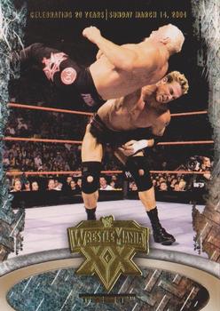 2004 Fleer WWE WrestleMania XX - Gold #41 Test  Front