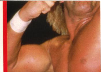 1985 O-Pee-Chee WWF Pro Wrestling Stars - Stickers #22 Hulk Hogan Back