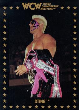 1991 Championship Marketing WCW #1 Sting Front