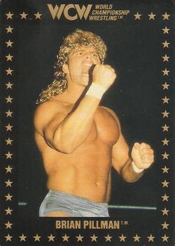 1991 Championship Marketing WCW #11 Brian Pillman Front