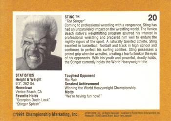 1991 Championship Marketing WCW #20 Sting & Ric Back