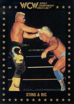 1991 Championship Marketing WCW #20 Sting & Ric Front