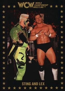 1991 Championship Marketing WCW #40 Sting and Lex Front