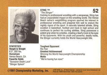 1991 Championship Marketing WCW #52 Sting and Ric Back