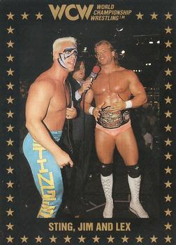 1991 Championship Marketing WCW #53 Sting, Jim and Lex Front