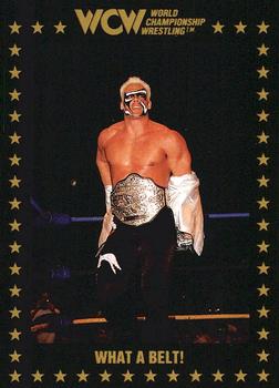 1991 Championship Marketing WCW #54 What a Belt! Front