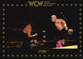 1991 Championship Marketing WCW #55 Sting Front