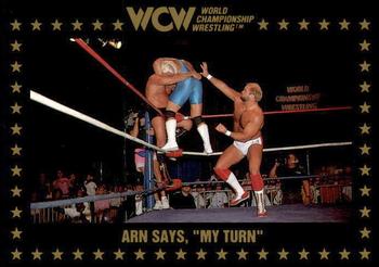 1991 Championship Marketing WCW #59 Arn Says, 