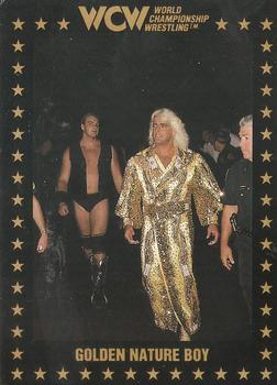 1991 Championship Marketing WCW #68 Golden Nature Boy Front