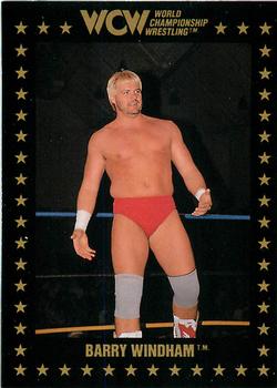 1991 Championship Marketing WCW #90 Barry Windham Front