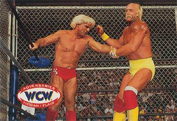 1995 Cardz WCW Main Event #69 Hogan/Flair (Havoc) Front
