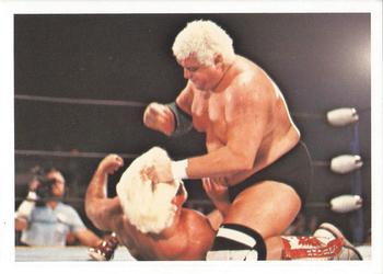 1988 Wonderama NWA #219 Dusty Rhodes / Ric Flair Front