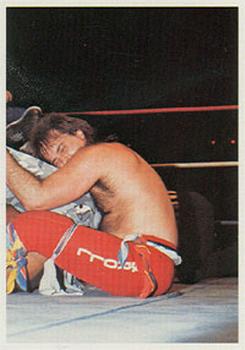 1988 Wonderama NWA #174 Robert Gibson Front