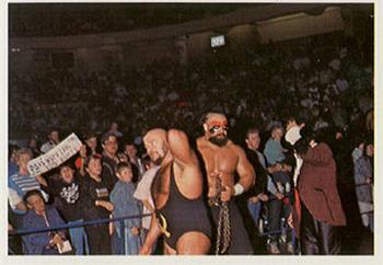 1988 Wonderama NWA #195 Barbarian Front