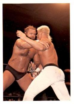 1988 Wonderama NWA #231 Arn Anderson Front