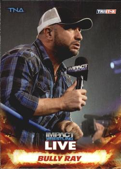 2013 TriStar TNA Impact Live #10 Bully Ray Front