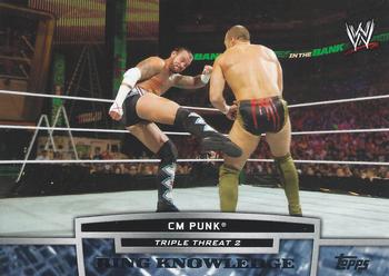 2013 Topps WWE - Triple Threat Tier 2 #TT26-2 CM Punk Front