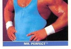 1991 WWF Superstars Stickers #24 Mr. Perfect Front