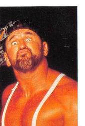 1991 WWF Superstars Stickers #96 Bushwackers Front