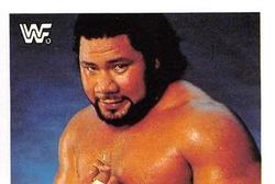 1991 WWF Superstars Stickers #123 Haku Front