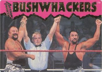 1995 Action Packed WWF #20 The Bushwhackers Front