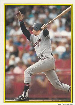 1989 Topps - 1989 All-Star Set Collector's Edition (Glossy Send-Ins) #49 Dave Gallagher Front