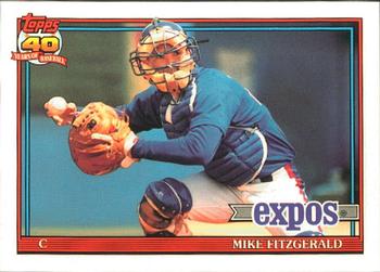 1991 Topps - Collector's Edition (Tiffany) #317 Mike Fitzgerald Front