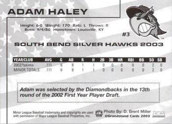 2003 Grandstand South Bend Silver Hawks #NNO Adam Haley Back
