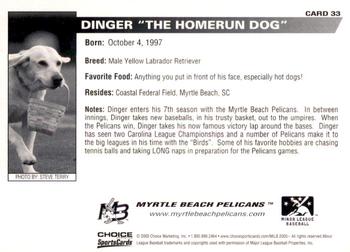 2005 Choice Myrtle Beach Pelicans #33 Dinger Back