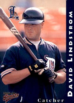 1998 Multi-Ad Lakeland Tigers #12 David Lindstrom Front