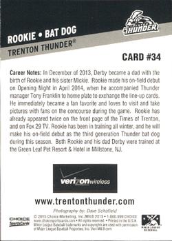 2015 Choice Trenton Thunder #34 Rookie Back