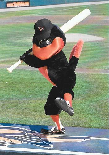 1997 Baltimore Orioles Photocards #NNO The Bird Front