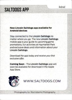2014 Lincoln Saltdogs #NNO Cover Card / Checklist Back